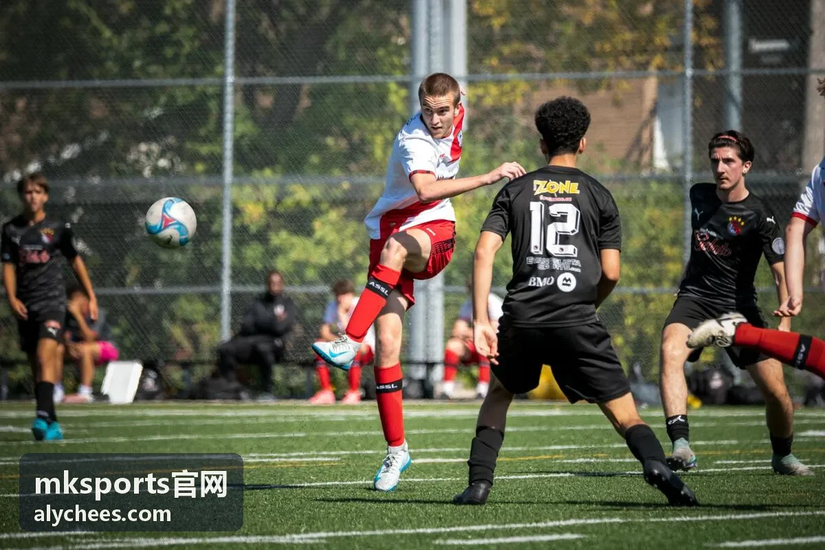 mksports官网技术统计数据复盘分析场景