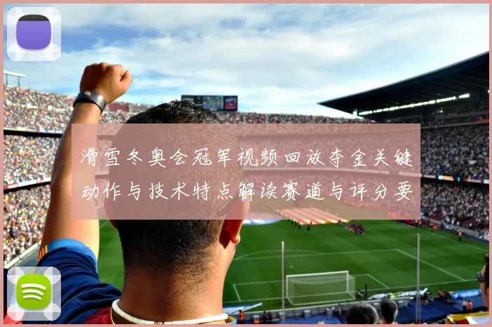 滑雪冬奥会冠军视频回放夺金关键动作与技术特点解读赛道与评分要点