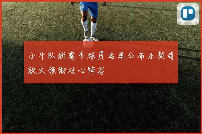 小牛队新赛季球员名单公布东契奇欧文领衔核心阵容