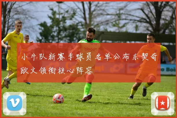 小牛队新赛季球员名单公布东契奇欧文领衔核心阵容