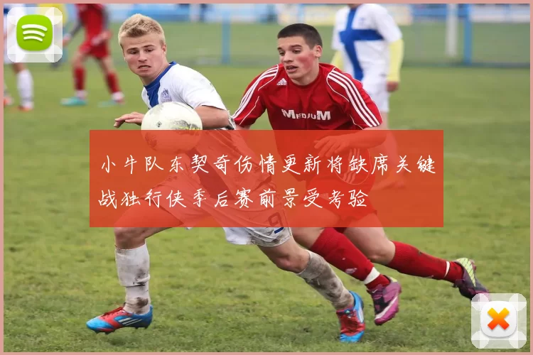 小牛队东契奇伤情更新将缺席关键战独行侠季后赛前景受考验