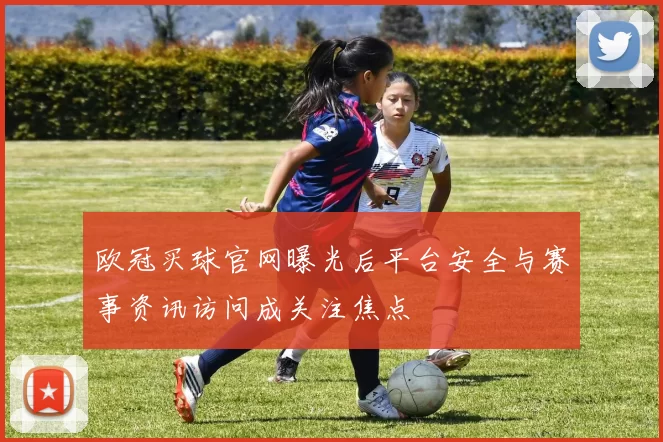 欧冠买球官网曝光后平台安全与赛事资讯访问成关注焦点