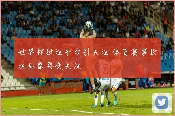 世界杯投注平台引关注 体育赛事投注乱象再受关注