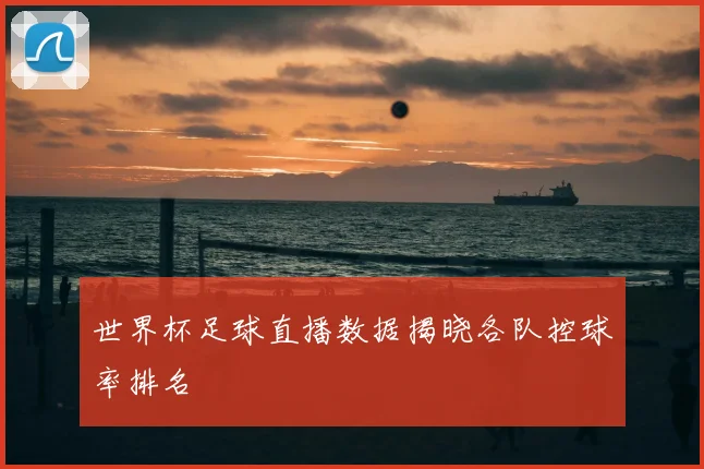 世界杯足球直播数据揭晓各队控球率排名
