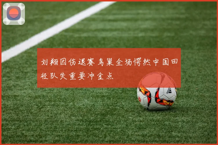 刘翔因伤退赛鸟巢全场愕然中国田径队失重要冲金点