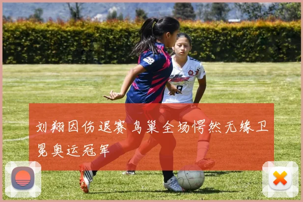 刘翔因伤退赛鸟巢全场愕然无缘卫冕奥运冠军