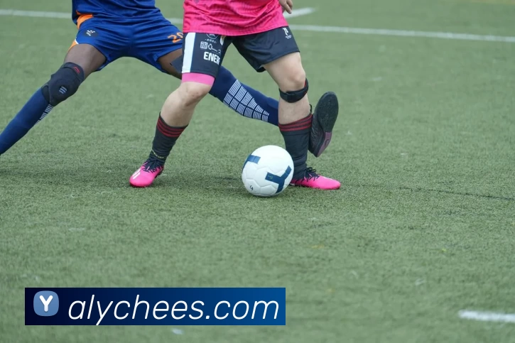 问鼎pg官方入口·官网首页APP 封面图